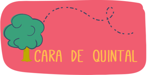 cara_de_quintal_box